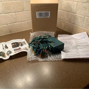 Bethlehem Lights LED Mini Lights